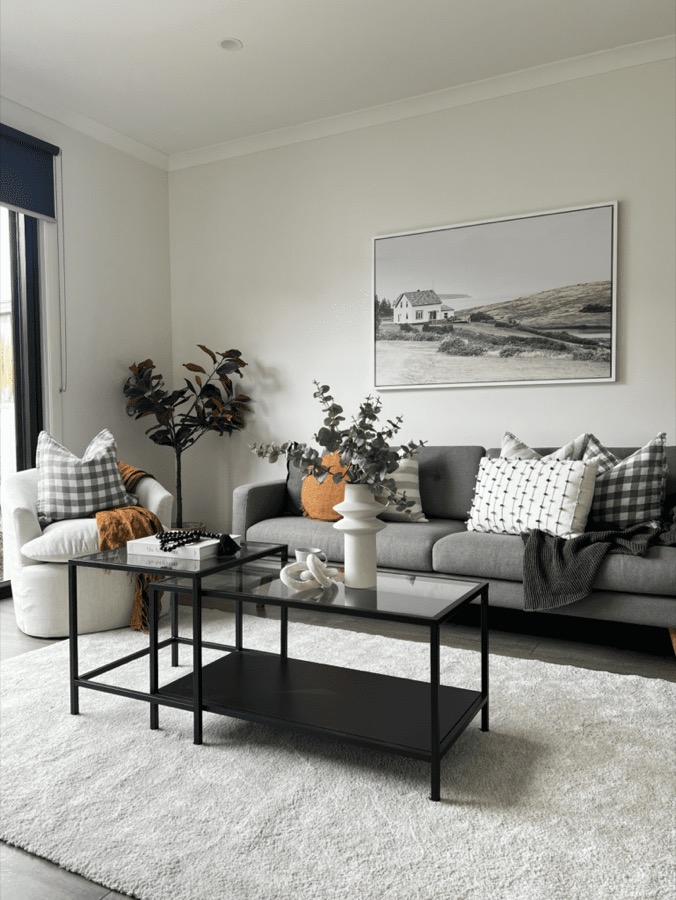 Elevate Your Space property staging project 29